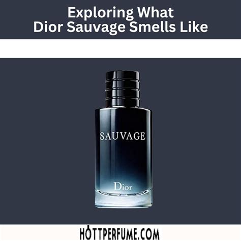 preisvergleich sauvage dior|what does dior sauvage smell like.